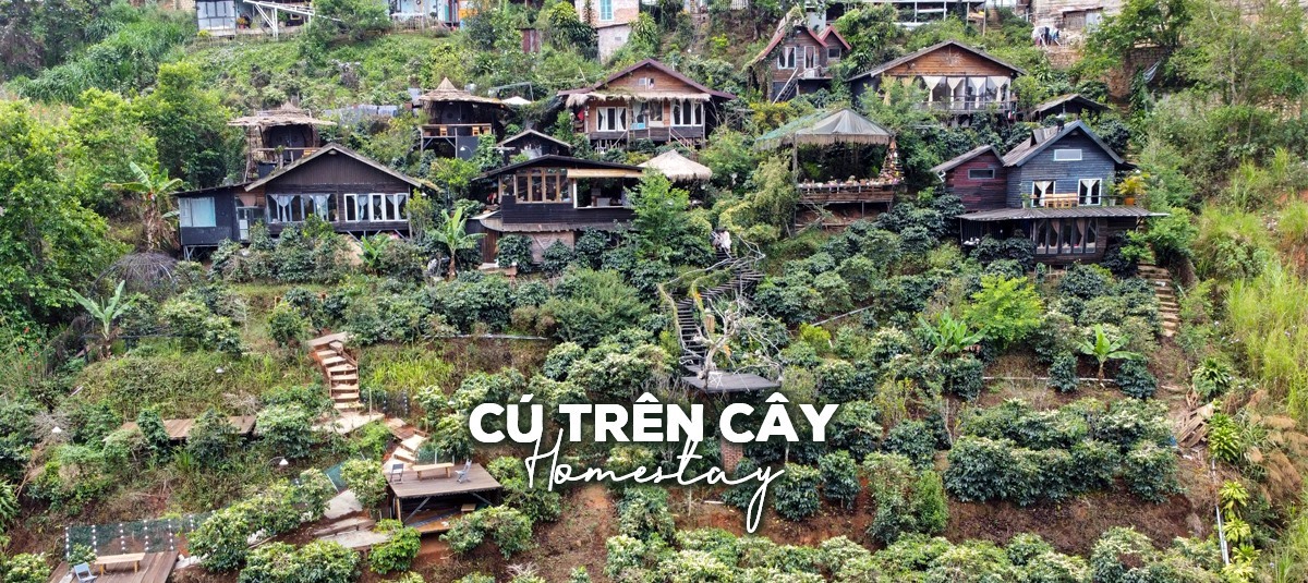 Cú Trên Cây Homestay