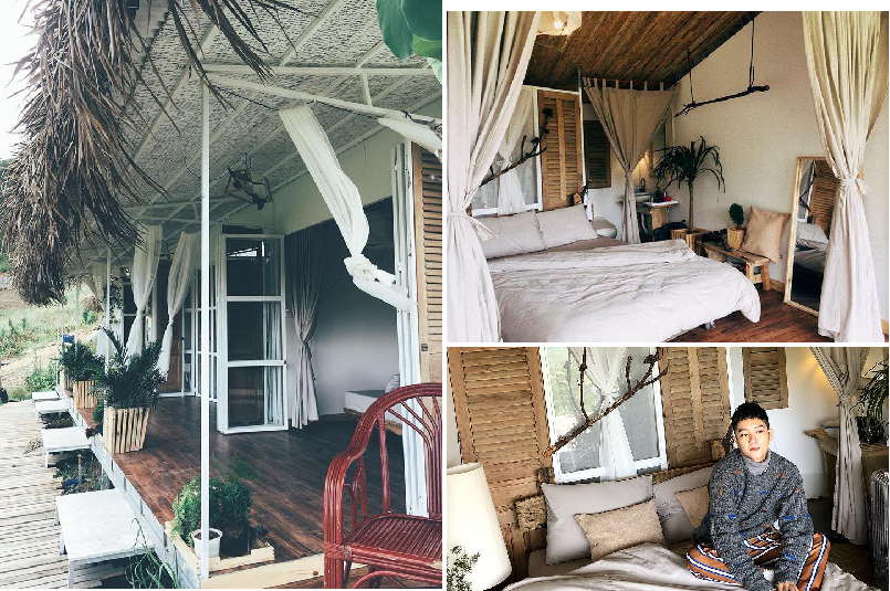 The Wilder-nest – Homestay