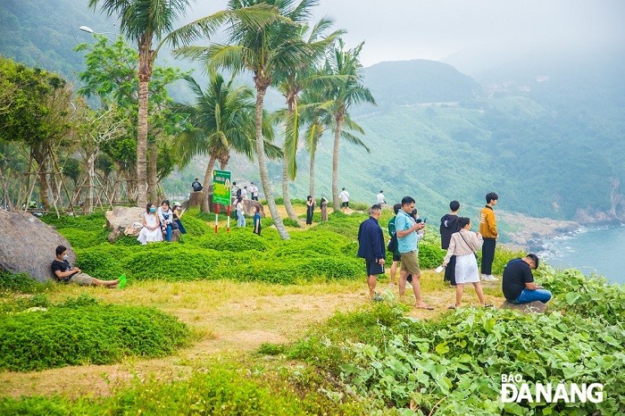 Bán đảo Sơn Trà